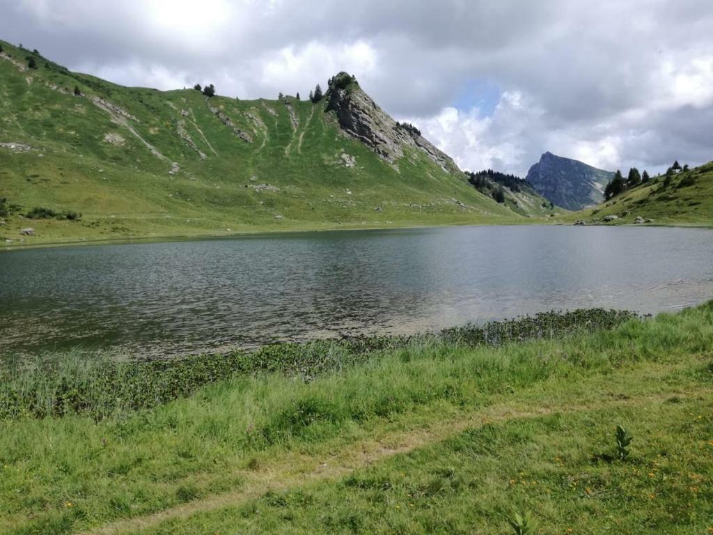 Le Genepi Διαμέρισμα Taninges Εξωτερικό φωτογραφία